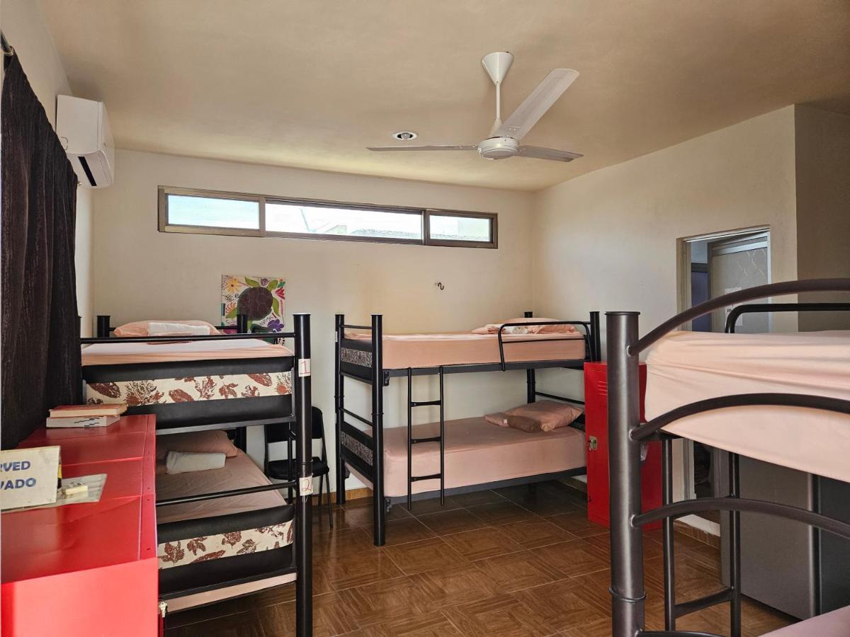 El Padrino Auberge de jeunesse